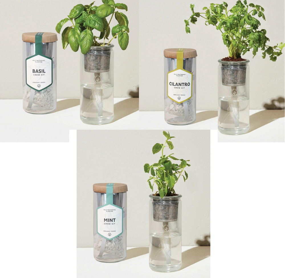 Modern Sprout Replacement Basil Cilantro Mint Herb Kit Eco Planter