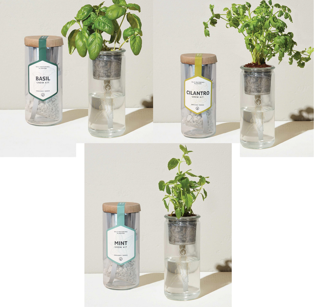 Modern Sprout Replacement Basil Cilantro Mint Herb Kit Eco Planter