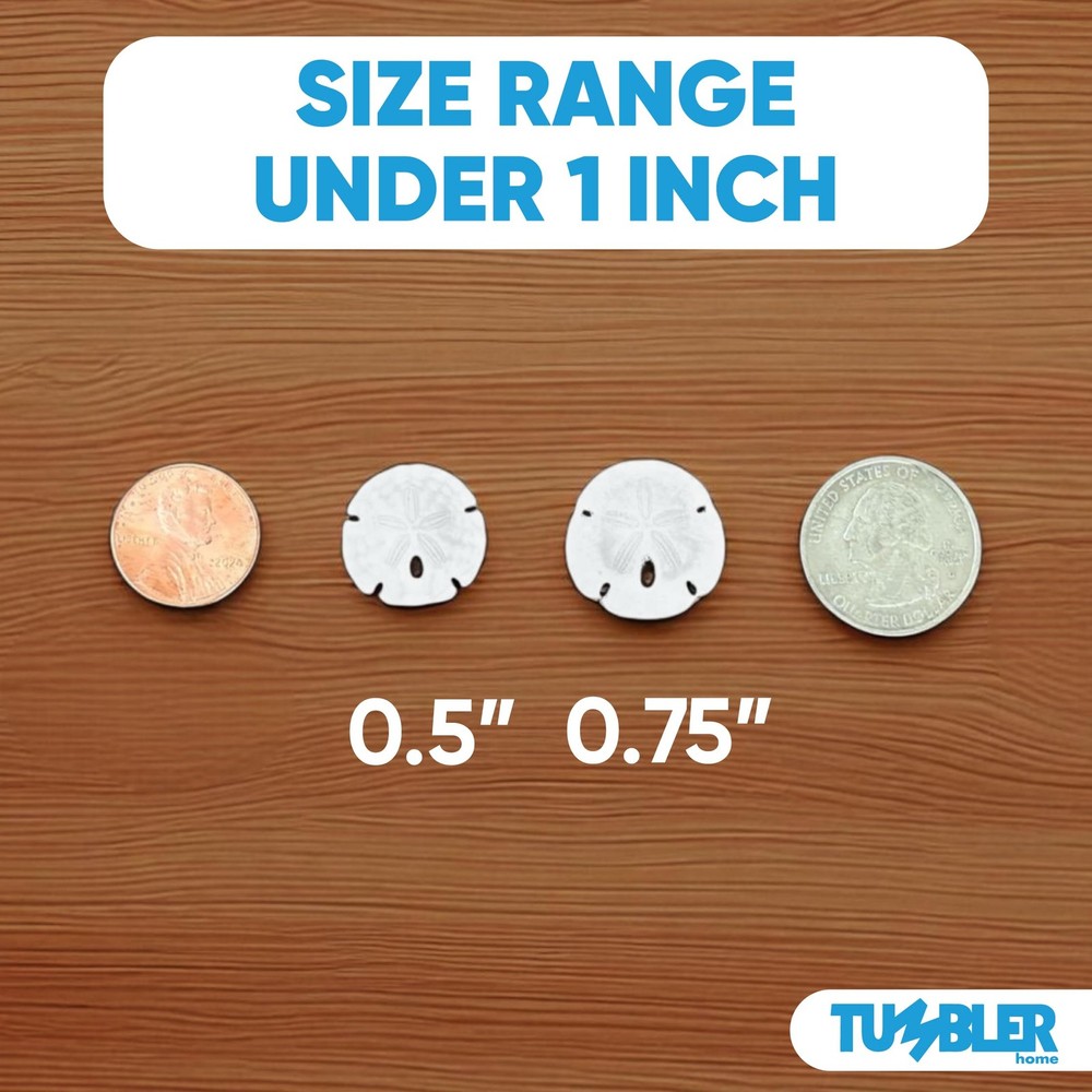 Sand Dollars 50pcs - Under 1" Inch - Tiny Natural Sand Dollar - Small White S...