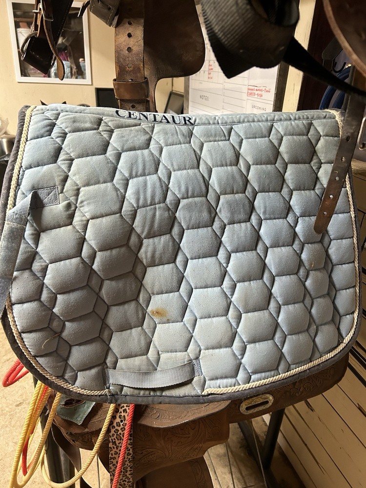 Blue All Purpose Centaur Saddle Pad