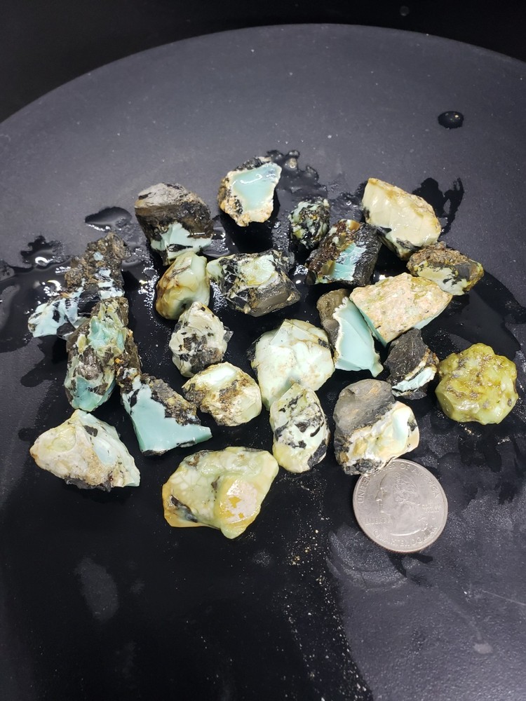 Nevada Gecko Variscite Rough 1/4 Lb