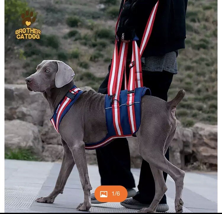 Brother CatDog Lift Harness Large