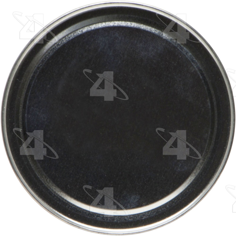 Flushing Solvent Four Seasons 69994