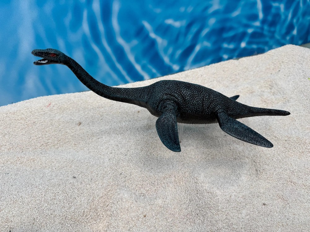 Plesiosaur
