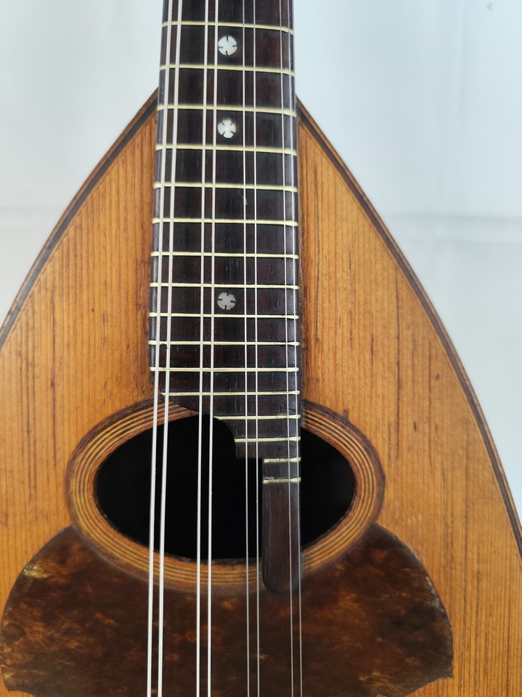 Mandolin 4/4 Pasquale Febraro 1923 Naples 曼陀林 만돌린マンドリン