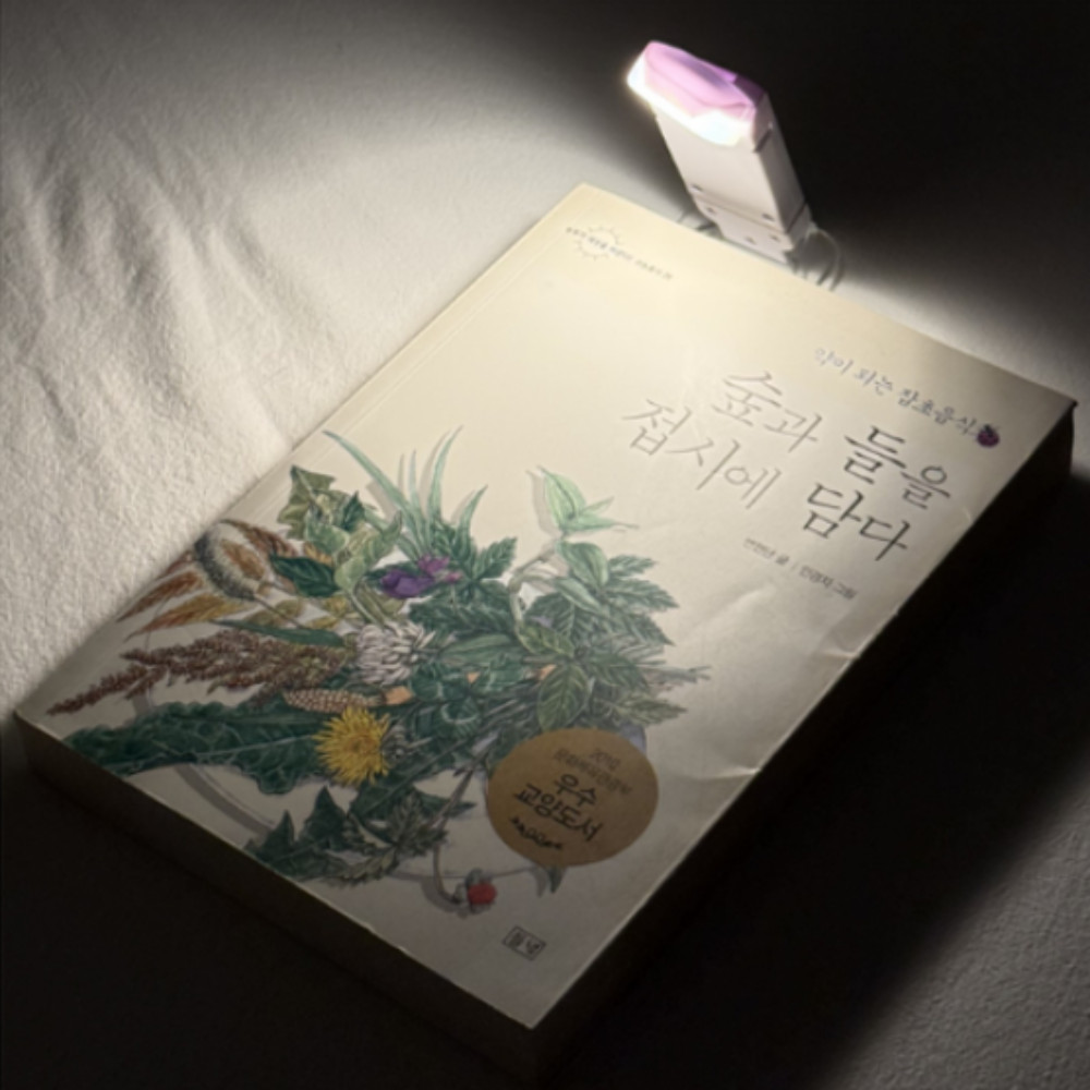 Reading Light Book Light Rechargeable LED