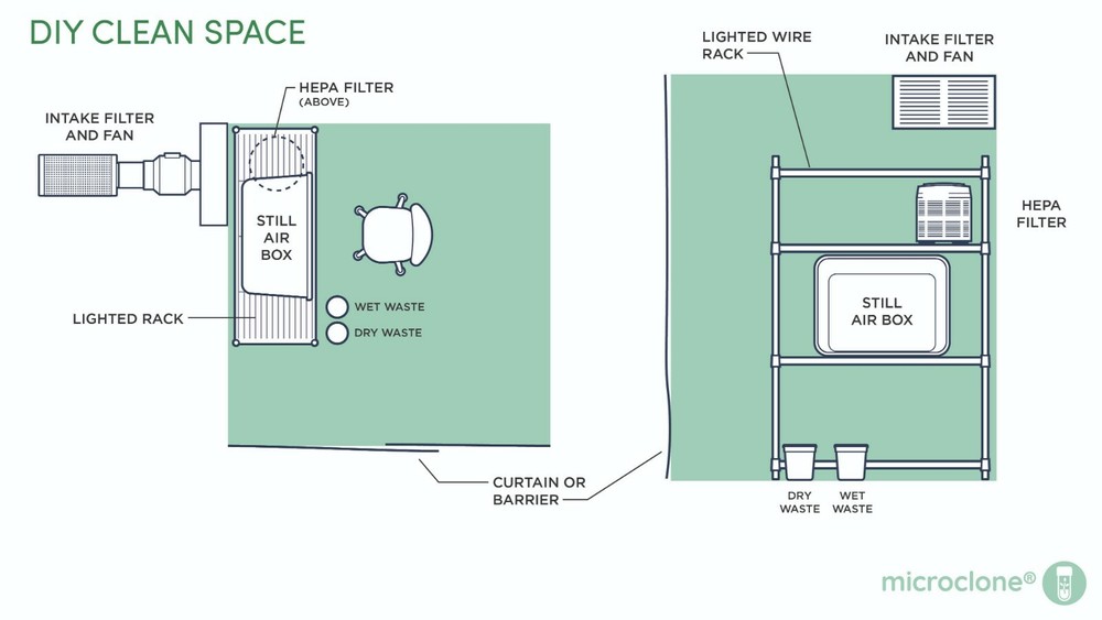 Tissue Culture Starter Kit Microclone Liquid Tubes Most Plants Include Cannabis