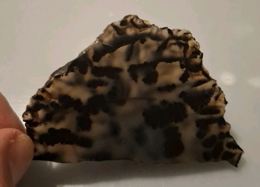 Moss Agate Slab Natural