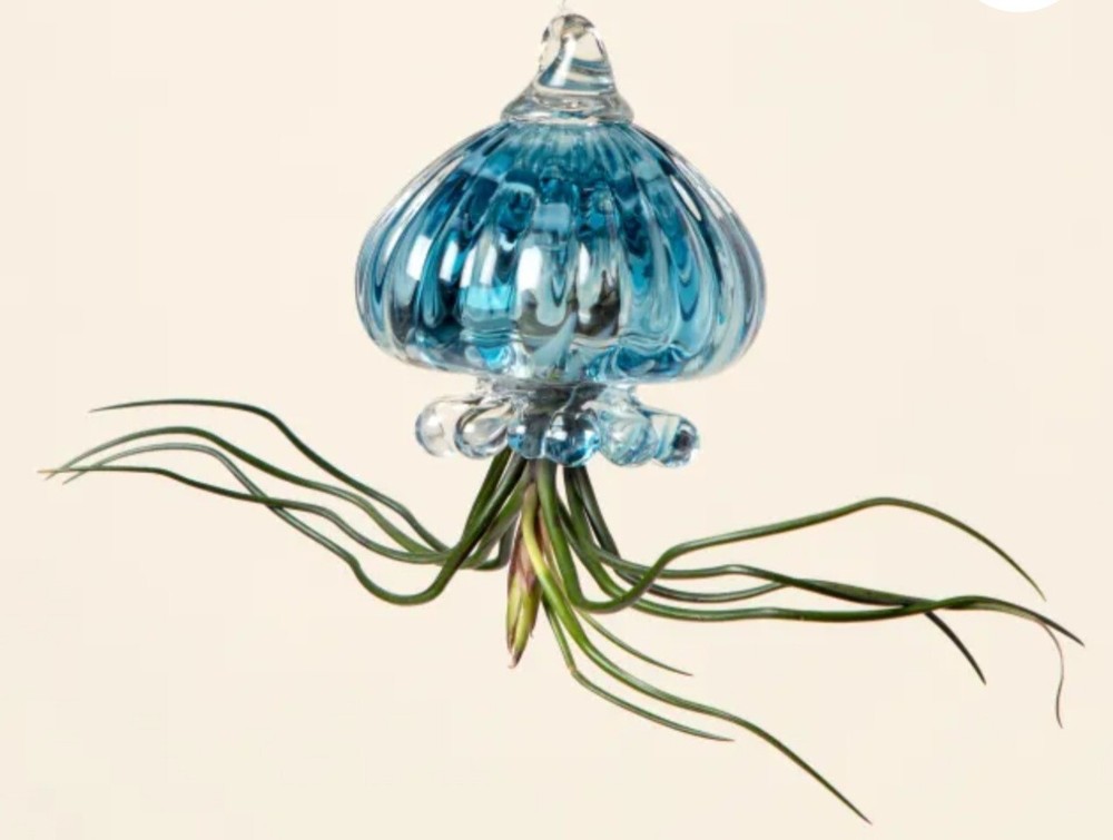 Jellyfish Air Planter