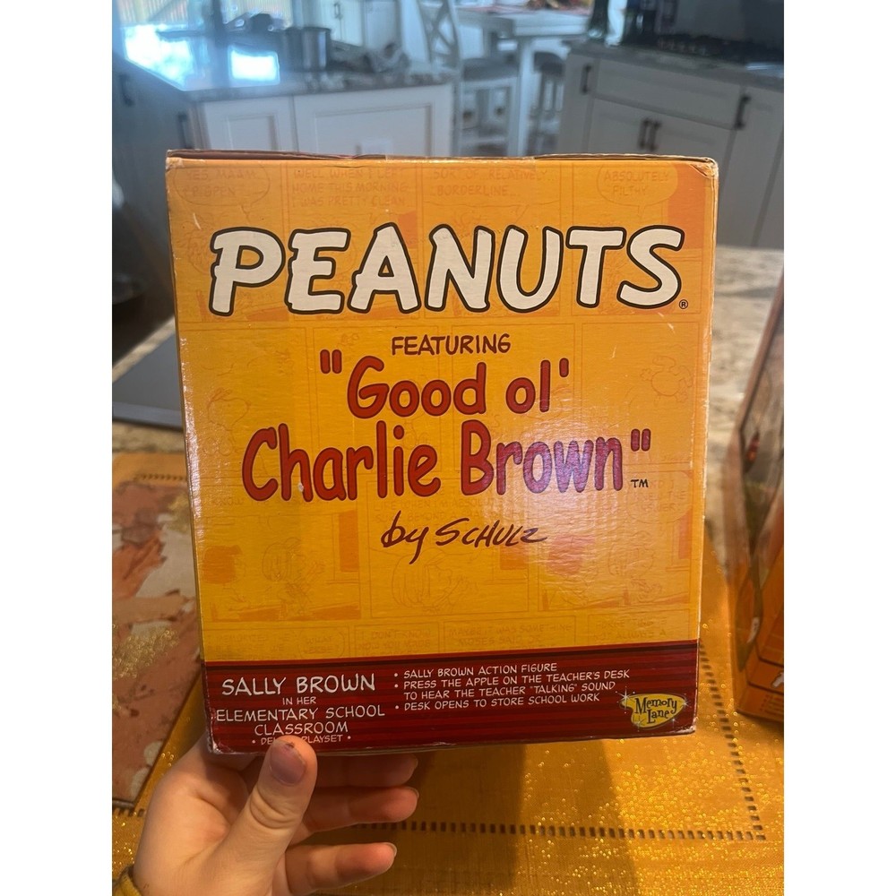 Peanuts Sally Brown In Her Elementary School Classroom Deluxe Playset