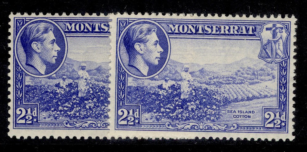 MONTSERRAT GVI SG105 + 105a, 2½d PERF VARIETIES, M MINT.