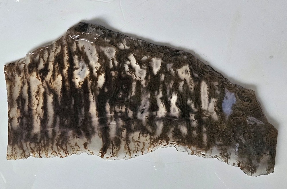 Plume Agate Thin Slab 63 Grams