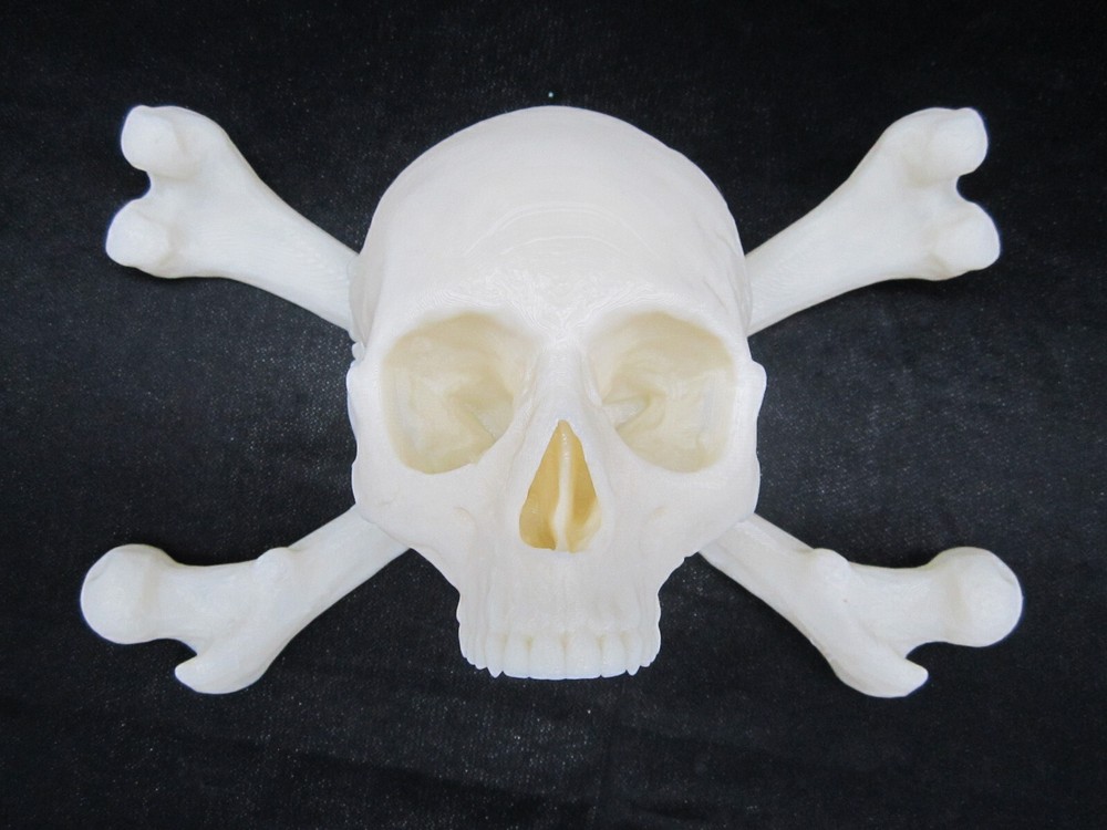Pirate Skull and Cross Bones 3d Wall Art Display (Bone White)