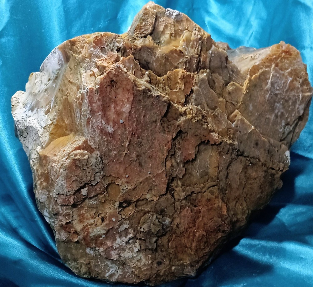 Opalized Petrified Wood Specimen WA State 17 LBS