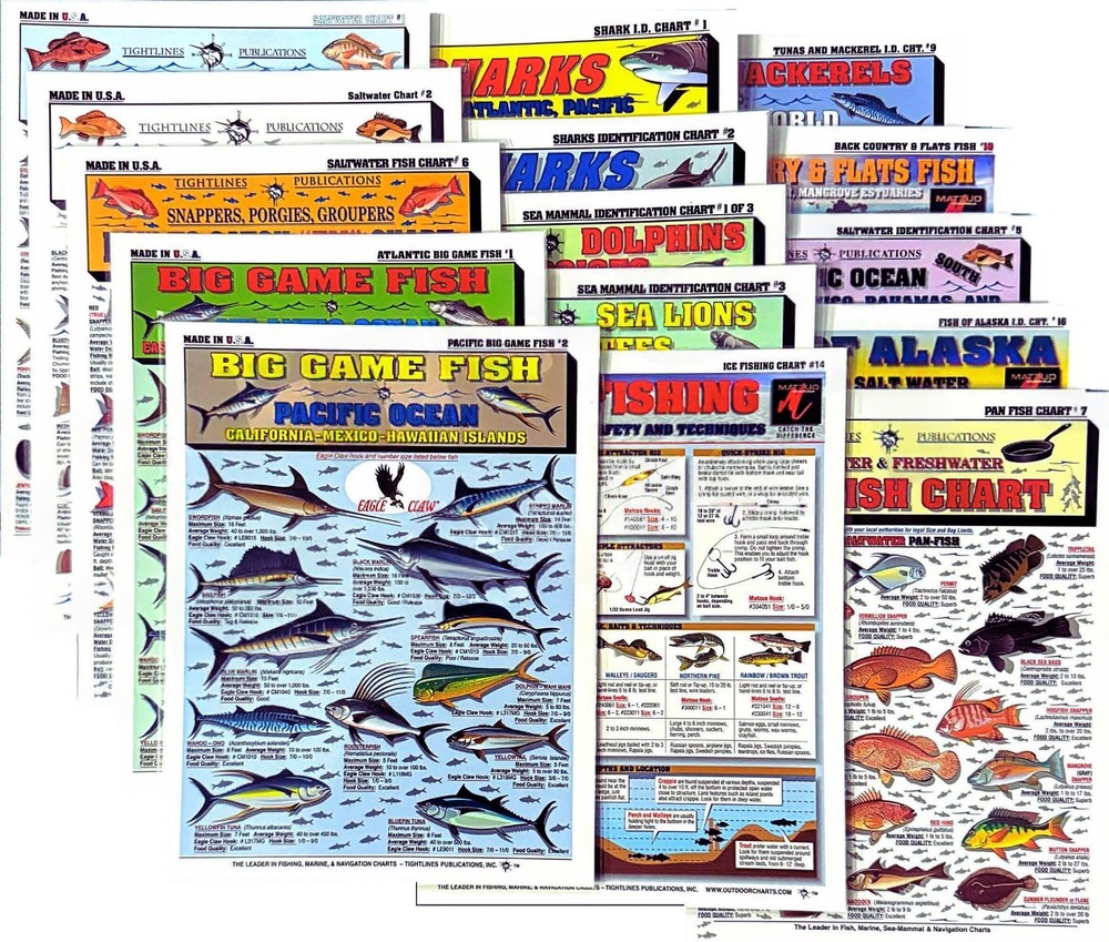 Fishermen's Saltwater Fish Identification Set - Waterproof Quick Reference Guide