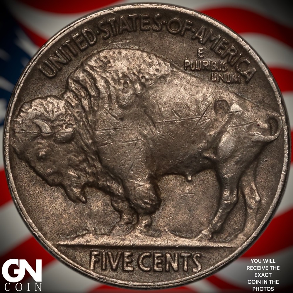 1920 P Buffalo Nickel A0783