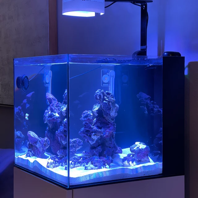 Ai Prime Light shade