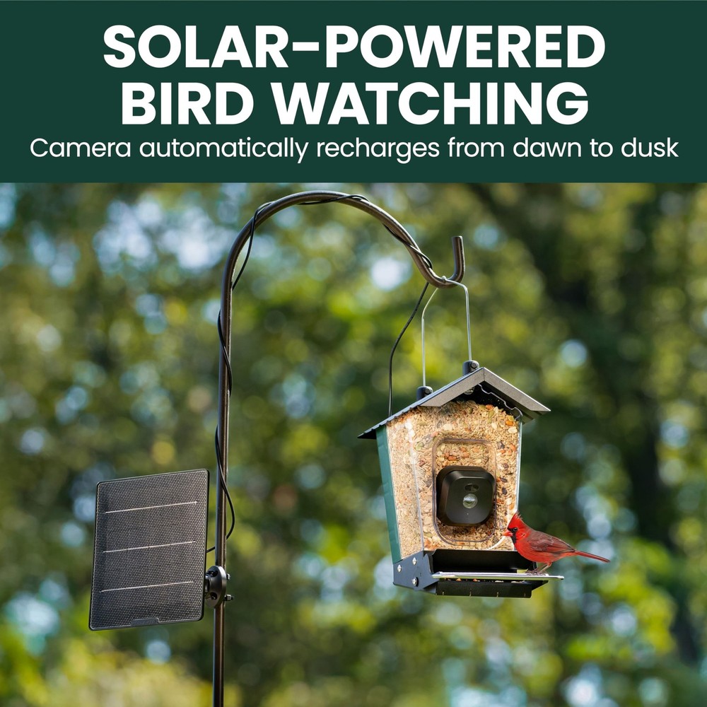 Perky-Pet Solar Powered Smart Bird Feeder with Camera - Forest Green