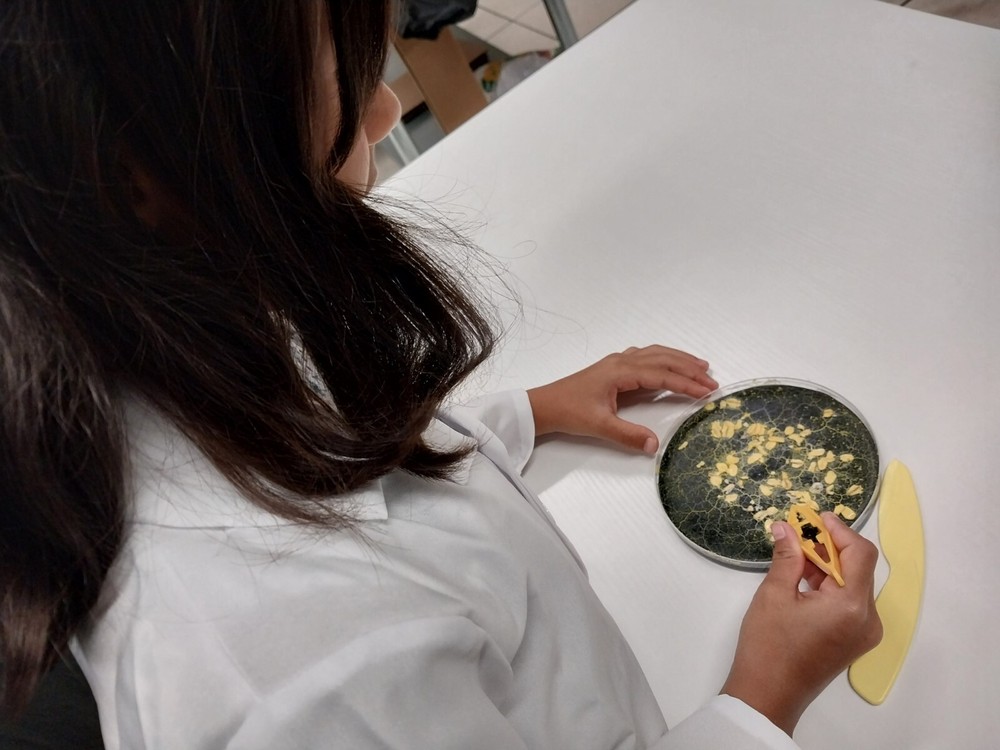 Pet Blob Home School Science Kit Complete with Tools & Instructions