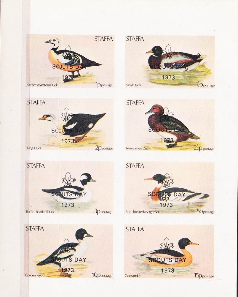 W STAFFA 003v DUCKS