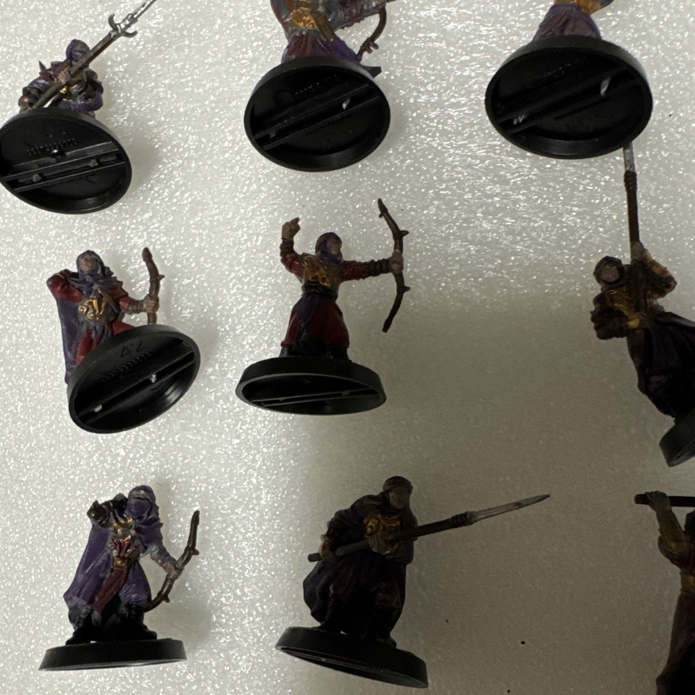 LOTR Warhammer Haradrim Warriors with box