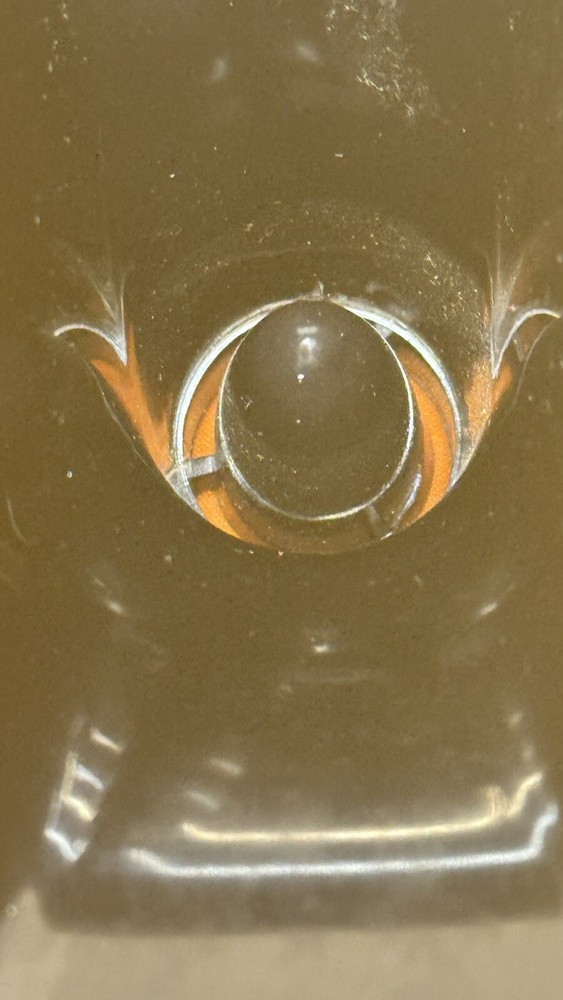 Kustom Horn Tweeter Driver W/ Crossover Works Great Pull From KPS-LS200 🔥🔥