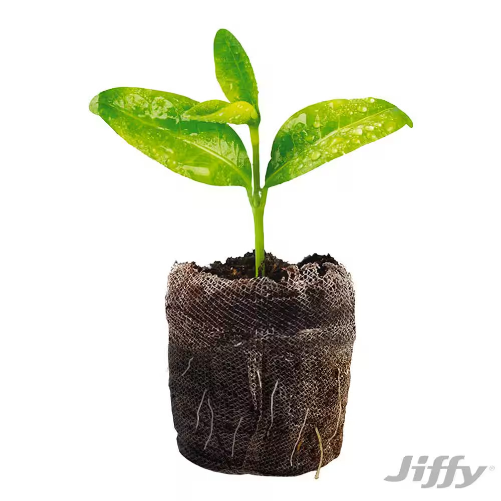 72 Peat Pellet Pro Seed Starting Greenhouse with Superthrive