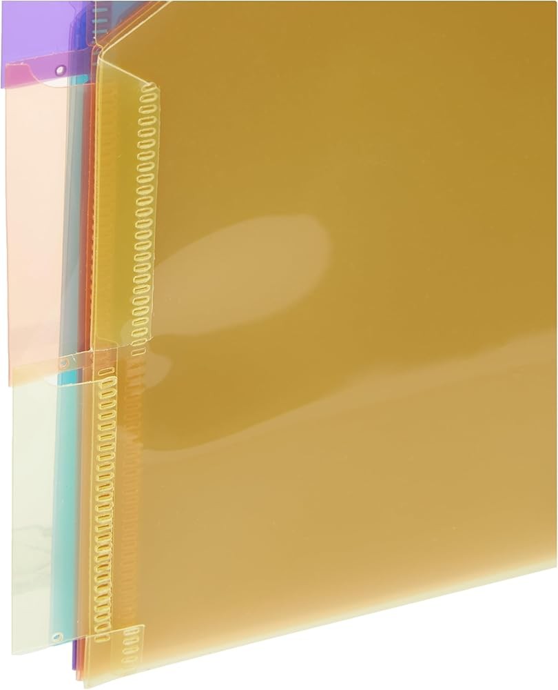 n Basics Tab Dividers for 3 Ring Binder, Two Poet, Letter Size