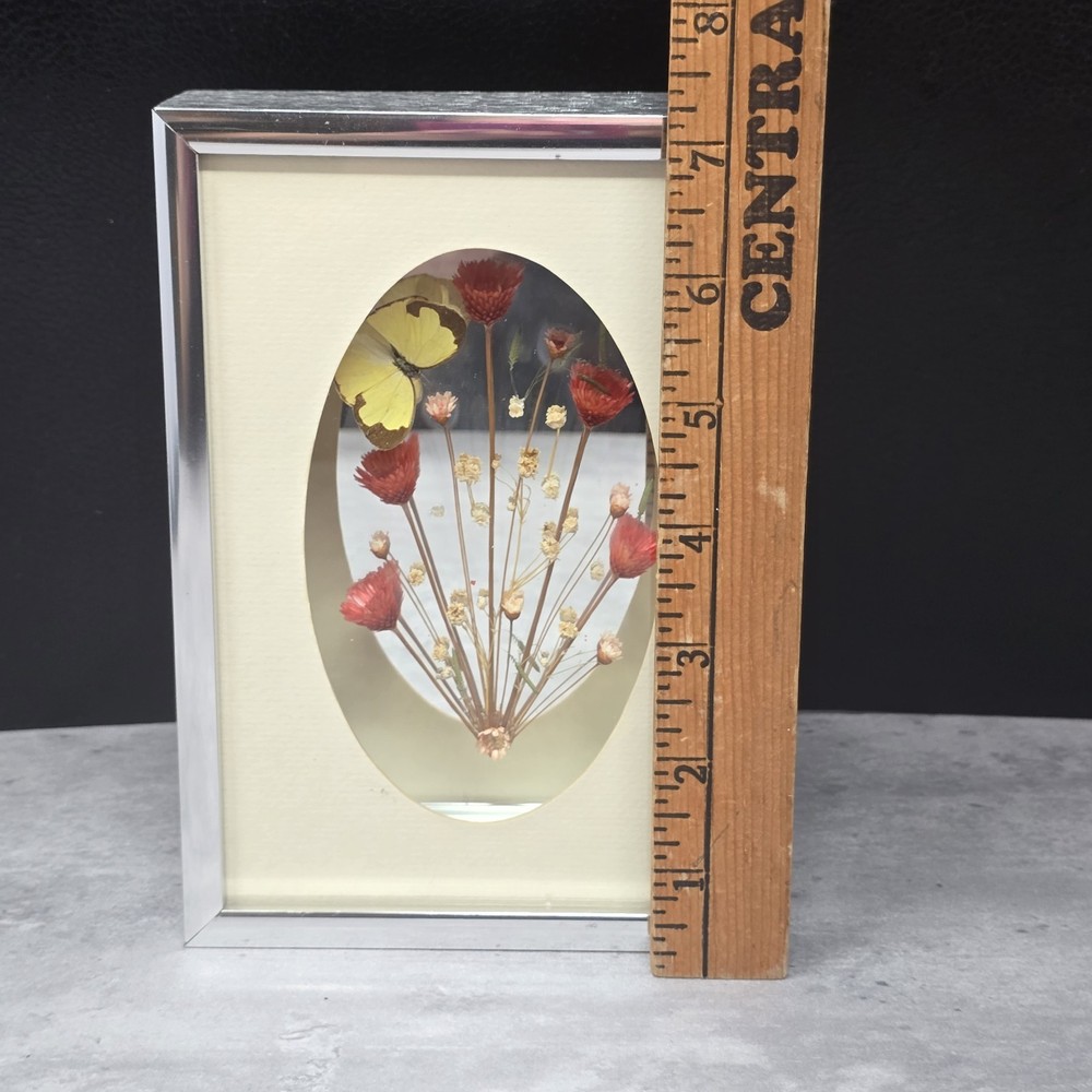 Shadow Box Butterfly Specimen Flowers Mirror Framed 5x7" 1970s