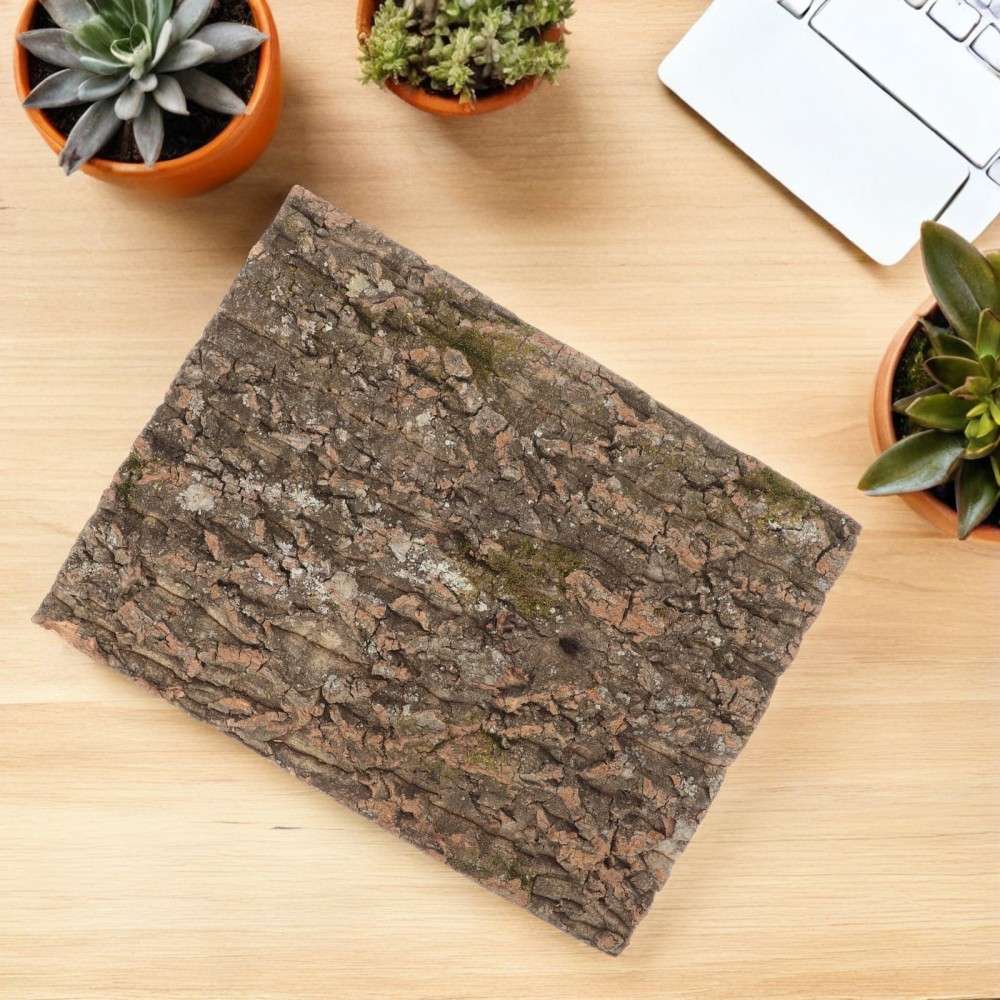 2 Pcs Reptile Decorative Accessories Backdrop for Enclosure Bark Background