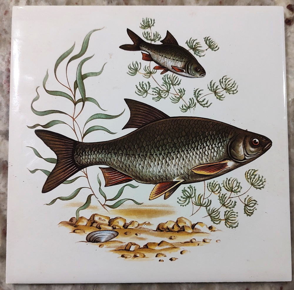 Vintage Fish Ceramic Tile Boote LTD Made In England 6”