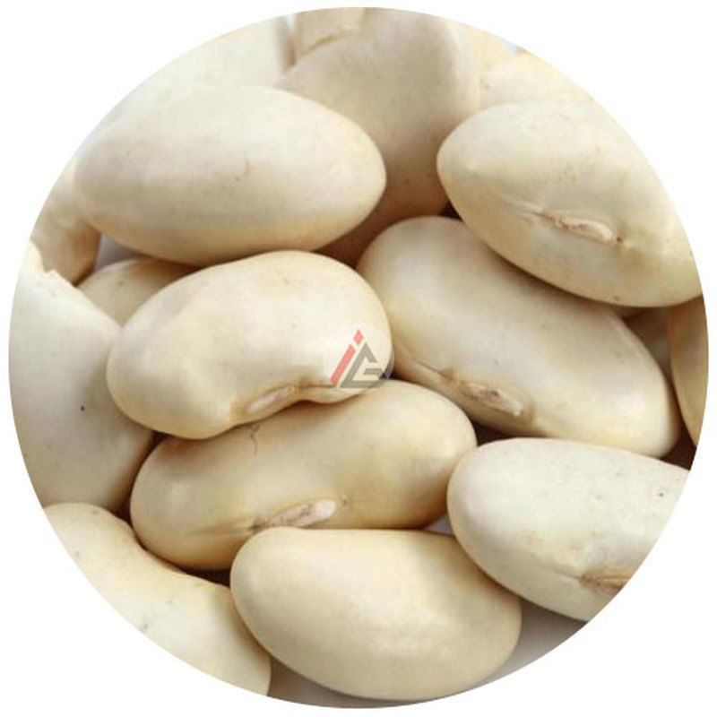 Lima Beans (Butter Beans) - 4.5 kg