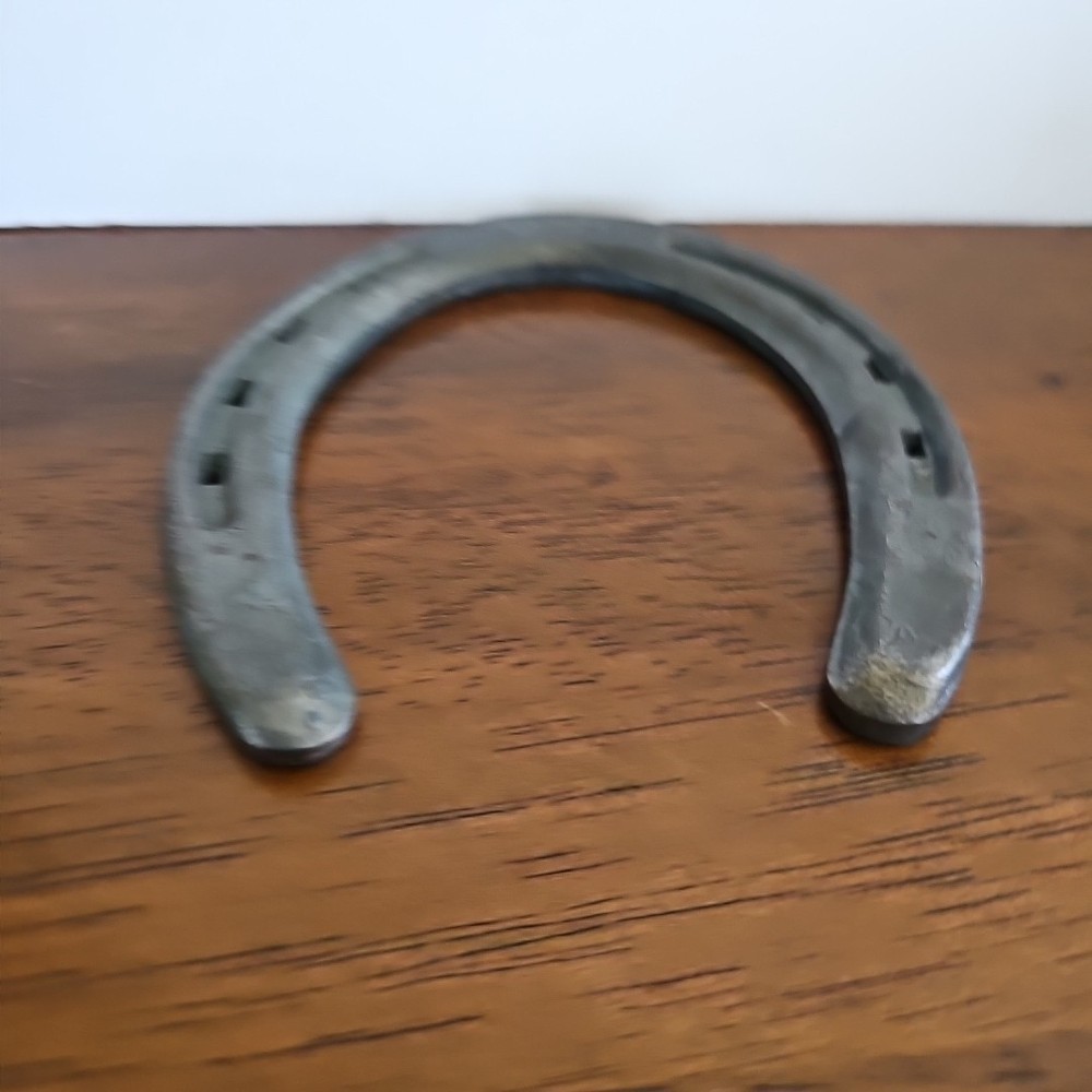 Diamond Classic Horseshoe DCO