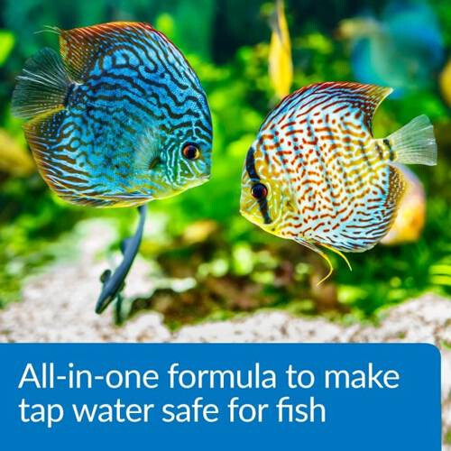 API Pond Aqua Essential Water Conditioner 1 Gal. 424C