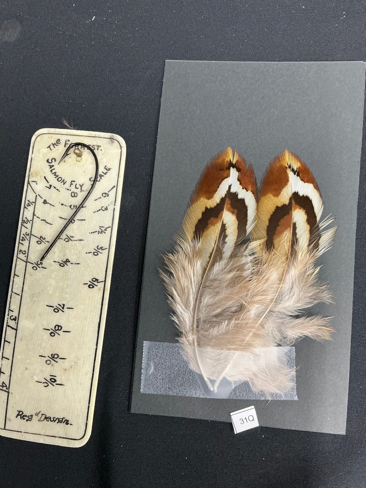 Hybrid Silver/Reeves Cross Pheasant feathers B