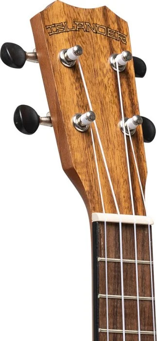 Traditional concert ukulele with solid acacia top