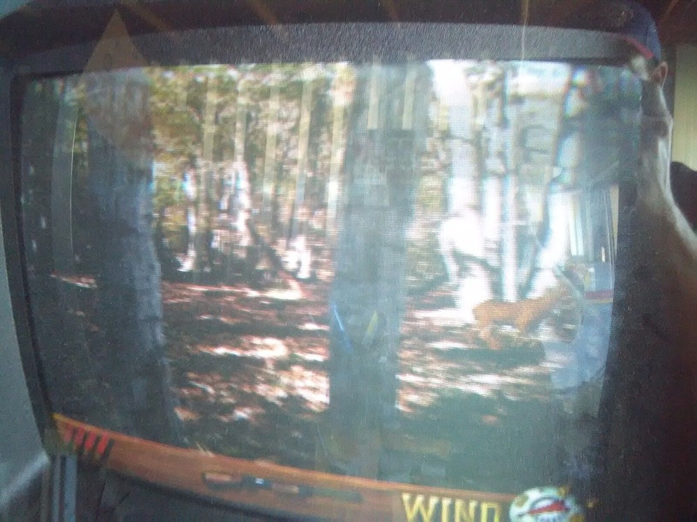 deer hunting usa arcade pcb version 4.3 working good