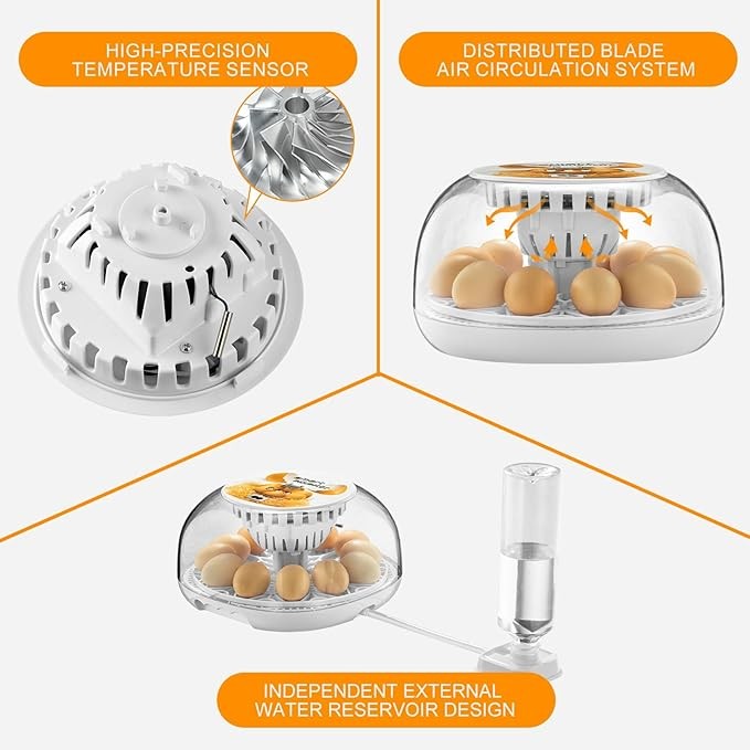 Egg Incubator 12 Eggs Incubator with Automatic Egg Turning for Hatching Eggs