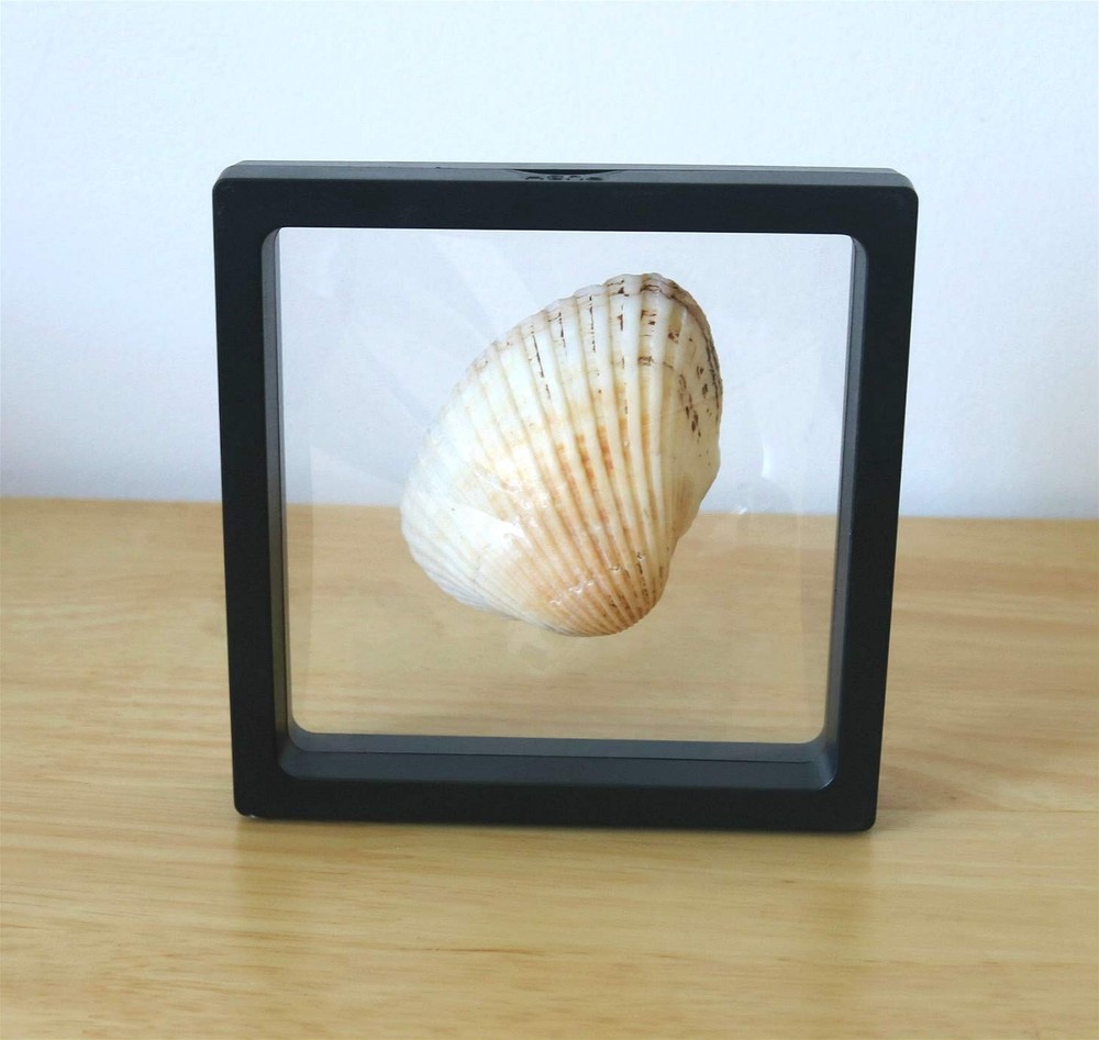 Challenge Coins Display Frame, Clear 3D Floating 4.3" x x 0.8 ", Black