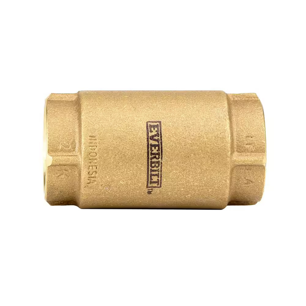1 In. Brass Check Valve