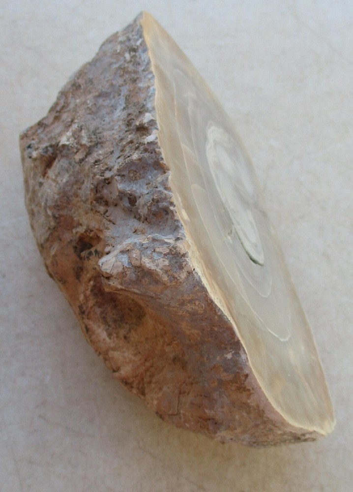Champagne Agate Face Polished Piece for Display or Rough