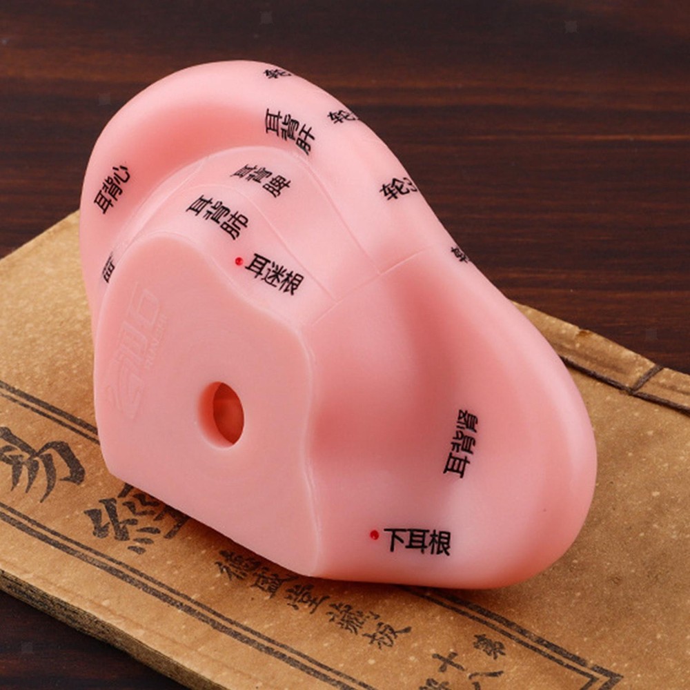 Human Ear Acupoint Model Teaching Model for Nursing Massaging Demonstration
