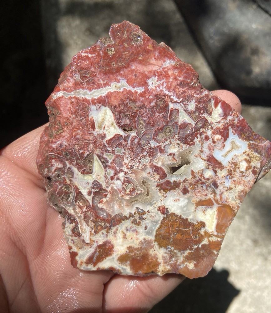 Red Agate With Chalcedony Rough Slab 2.91 oz