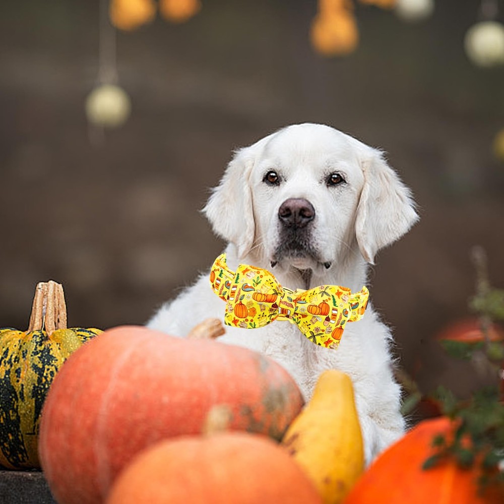Fall Dog Collar Bowtie Adjustable Heavy Soft Large Halloween Thanksgiving Pet