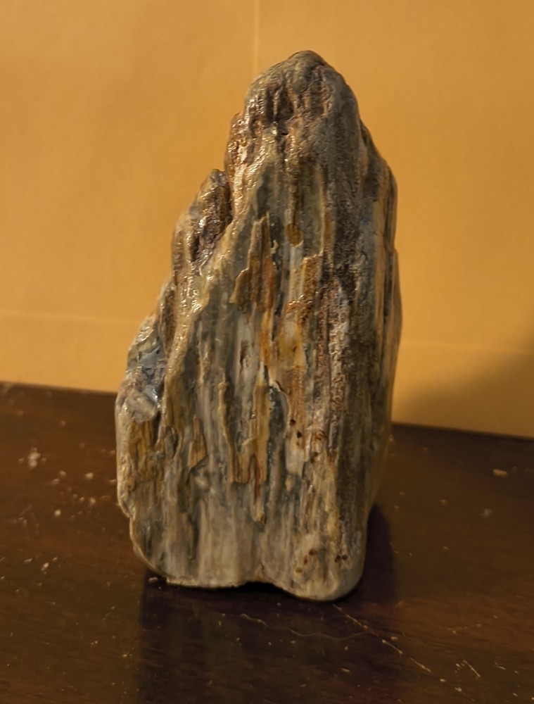 Petrified Wood Approximately 3 In Tall