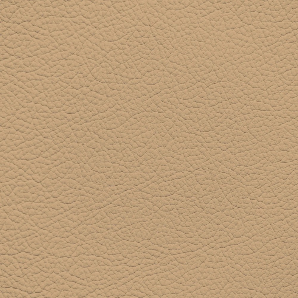 Infiniti Camel Leather Dye