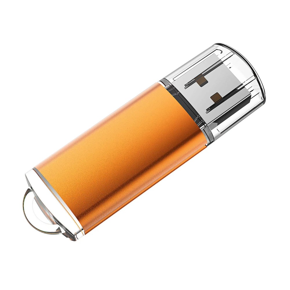 US Citizenship Test Study Guide (Civics Interview, Language) in English on a USB