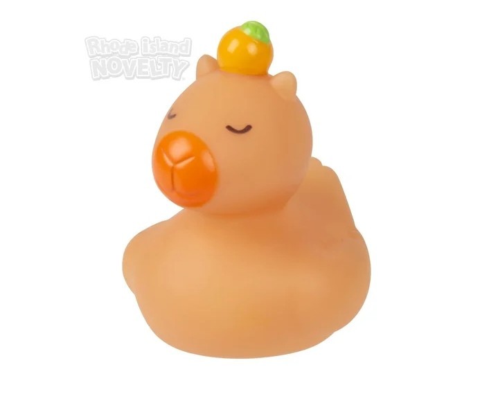 2" Capybara Rubber Ducks - 12 Piece Assortment