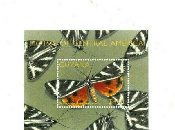 Guyana - 2002 - Moths - Souvenir Sheet - MNH