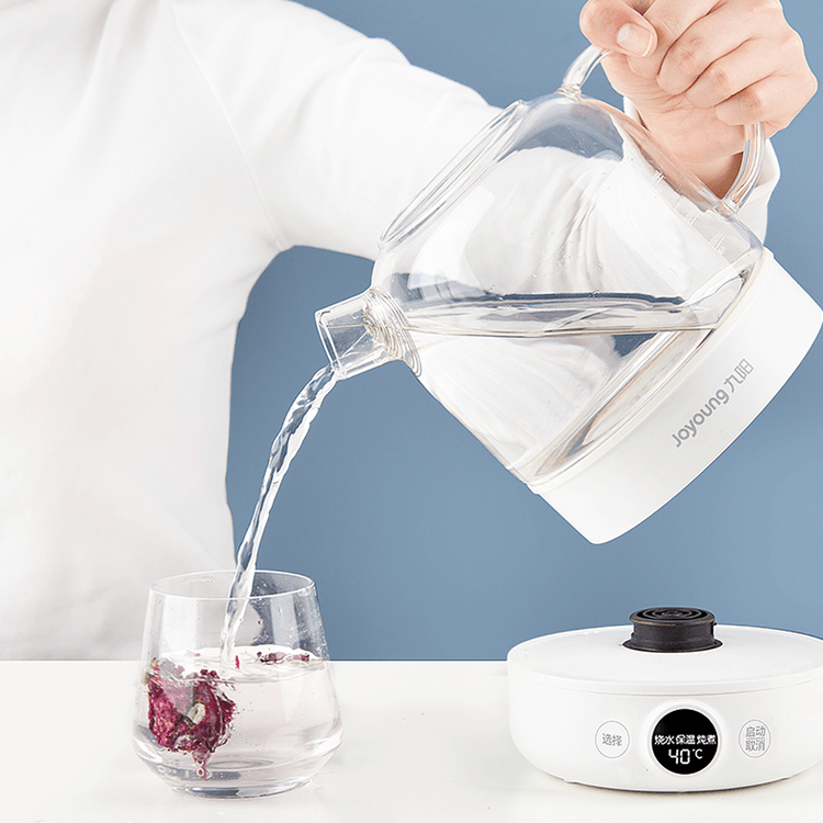JOYONG Multi-Function Wellness Kettle - Automatic Herbal - Soup -Poridge cooker